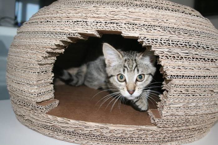 Домик-иглу из картона для кошки