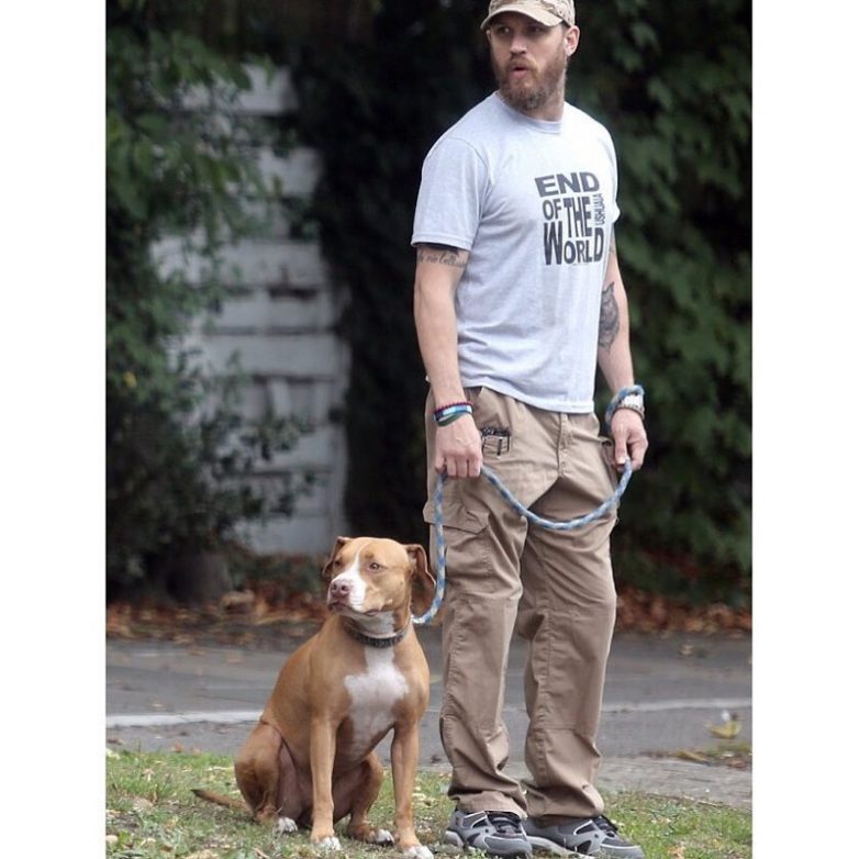 Актёр Том Харди рассказал о смерти своей собаки