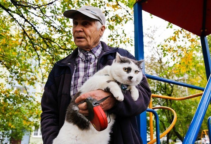 Кот, за которого предлагали 450 тысяч рублей
