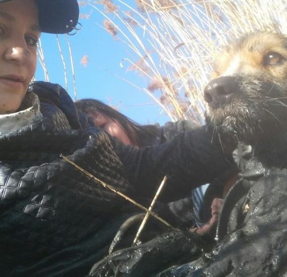 Девушки из Приморья, рискуя жизнью, спасли собаку