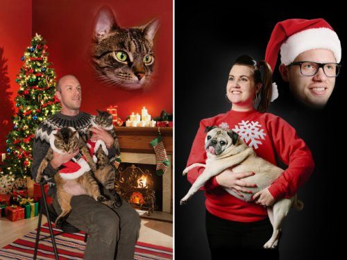 Рождественские фотографии с животными