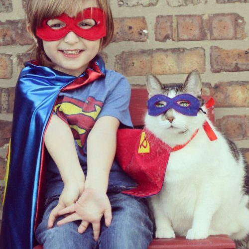 Кошки супергерои