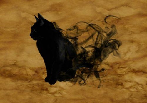 Интересные факты о черных кошках