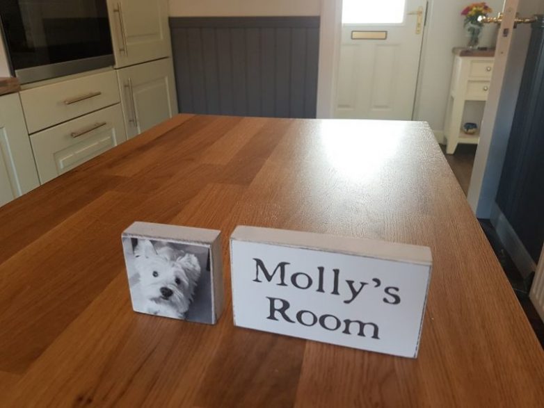 Комната под лестницей для собачки Молли