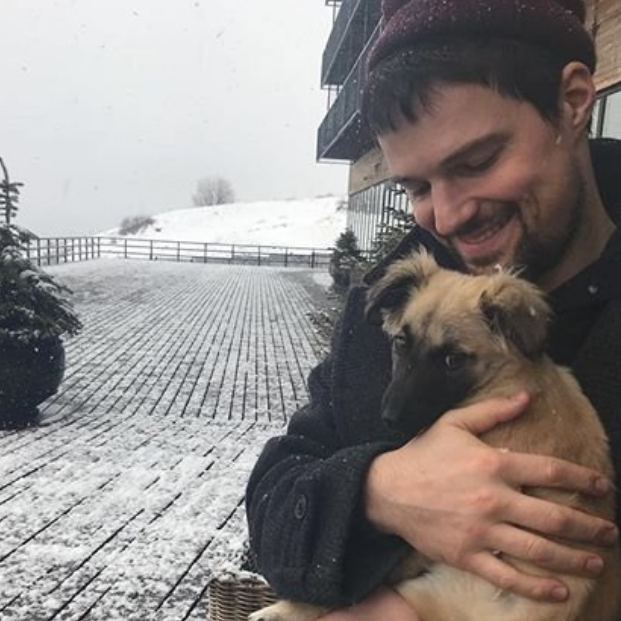 Российские знаменитости пытаются спасти бездомных животных перед ЧМ-2018