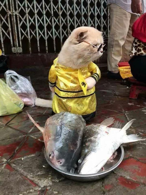 Самый очаровательный продавец рыбы
