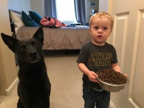Дети и собаки