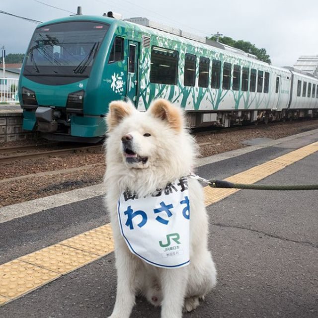 Новый начальник железнодорожного вокзала в Японии