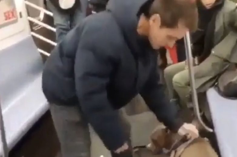 Нападение питбуля в вагоне метро