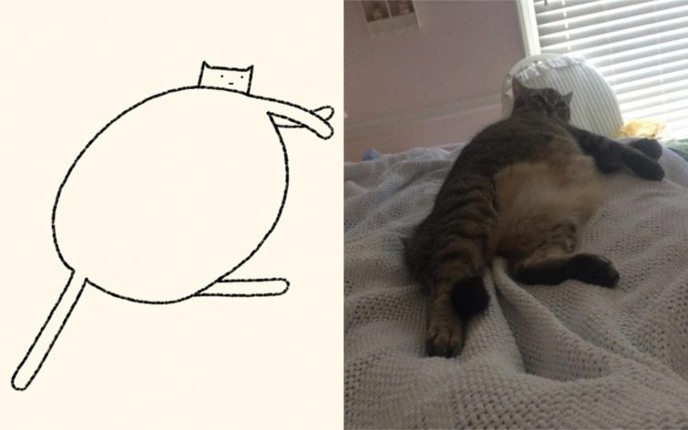 Забавные рисунки кошек