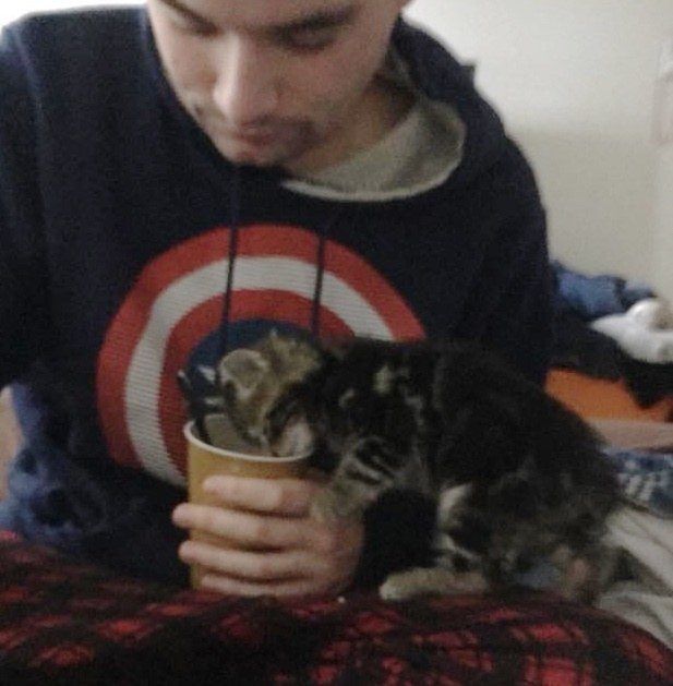 Мужчина приютил кошечку и та заполнила собой всю его жизнь
