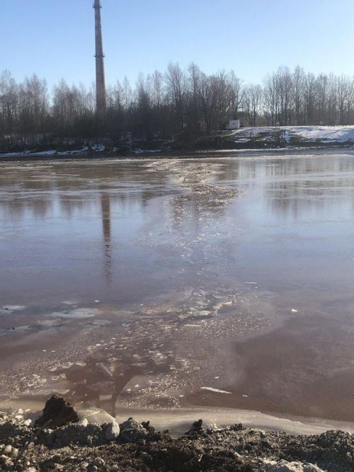 Рабочие спасли из ледяной реки собаку, которая оказалась волком