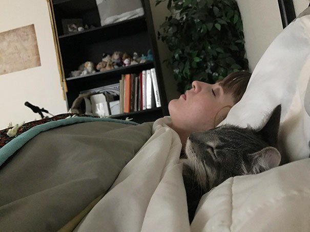 Котейки, уснувшие в самых странных позах