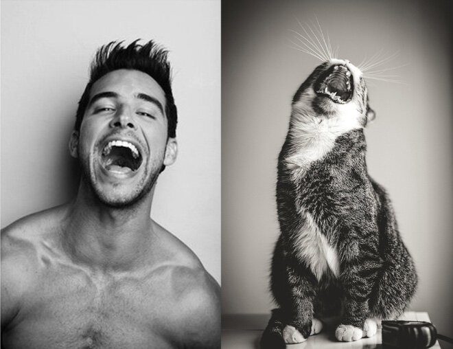 Мужчины и коты