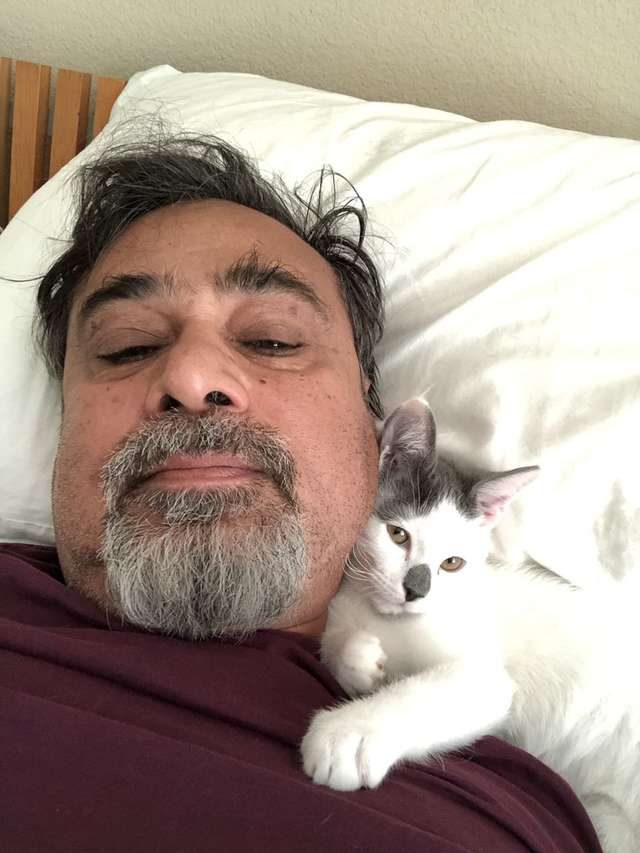 Отец упрашивает не забирать котёнка