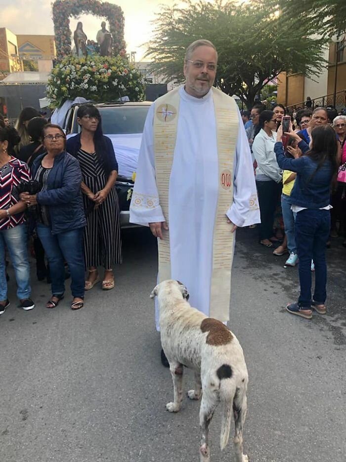 Пастырь устроил в церкви собачий приют