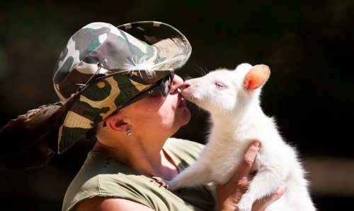 Фото любви людей к животным