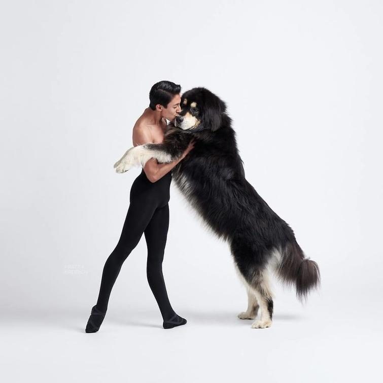 Танцоры балета и собаки