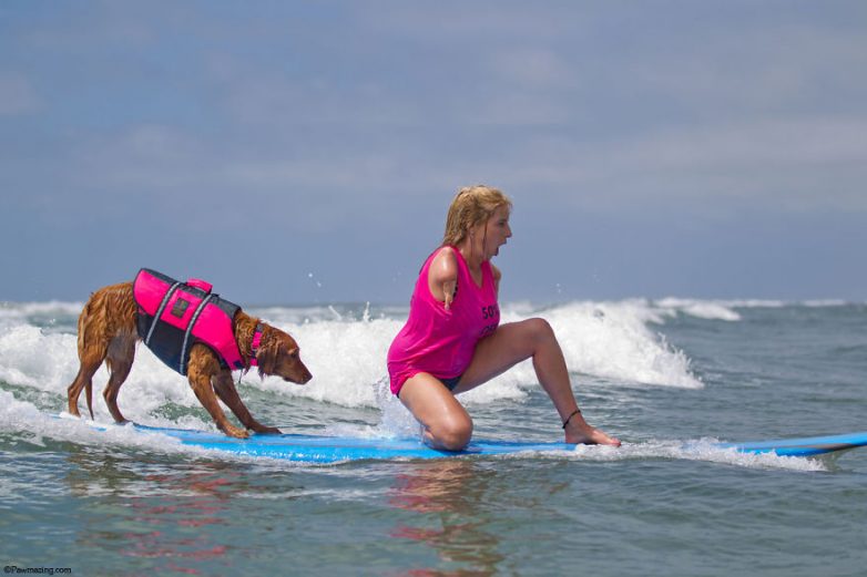 Пёс, который занимается серфингом с больными людьми и помогает им вылечиться