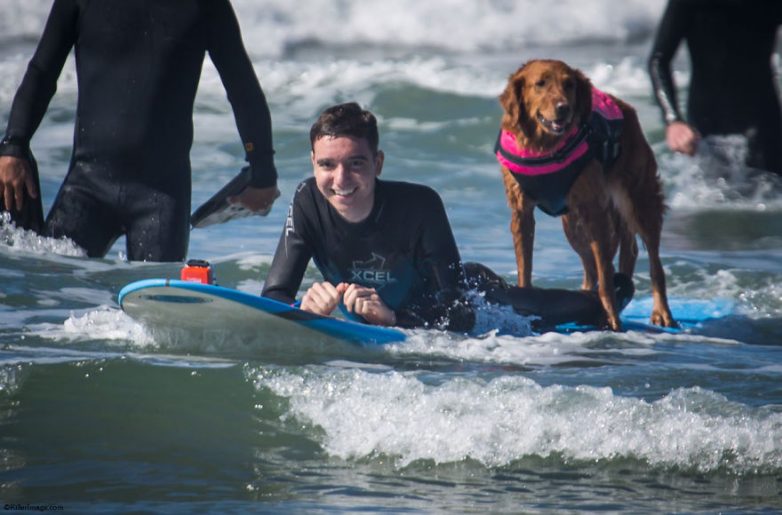 Пёс, который занимается серфингом с больными людьми и помогает им вылечиться