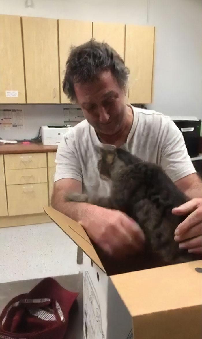 Он нашёл своего 19-летнего кота через 7 лет после того, как тот пропал без вести