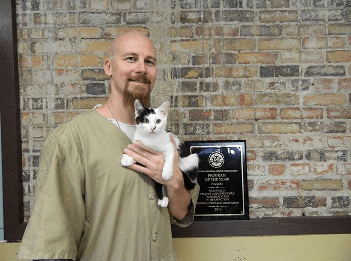 В тюрьме заключённым разрешают ухаживать за котами из приюта