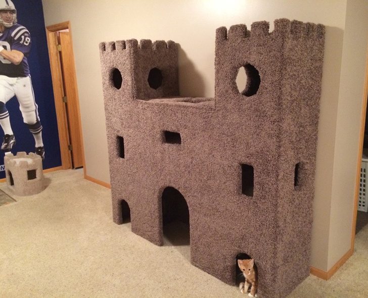 Для этих кошек владельцы готовы построить хоть замок