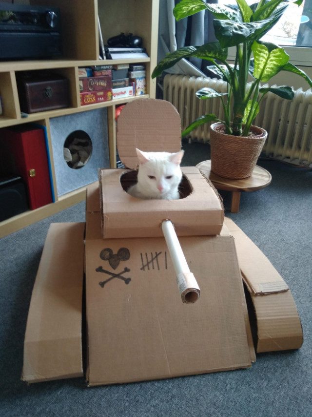 Кошки в танках