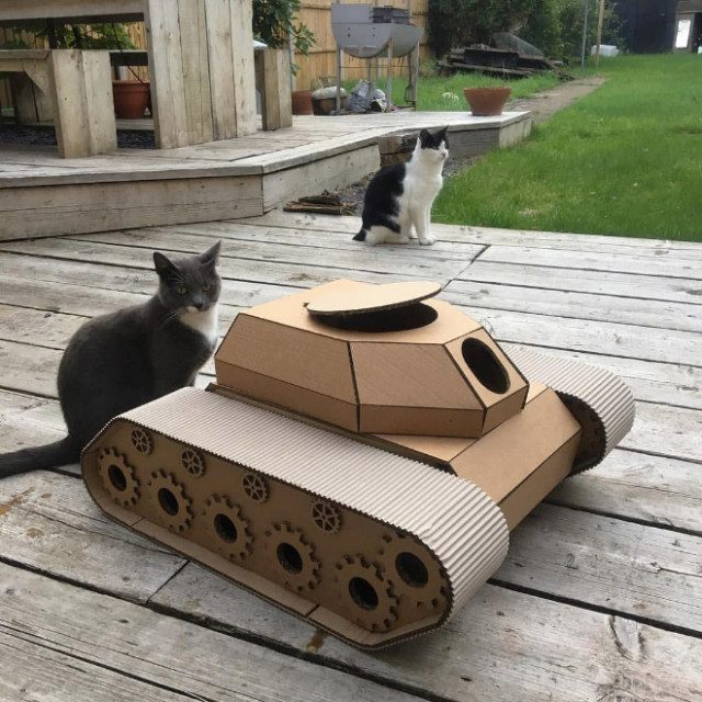 Кошки в танках