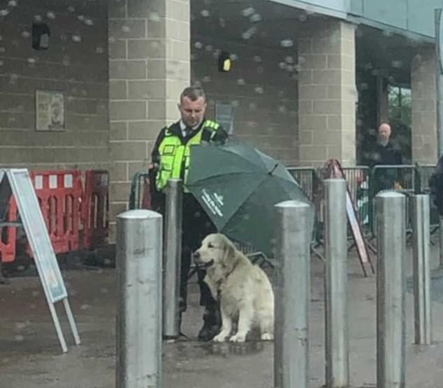 Охранник, который укрыл чужого пса зонтом