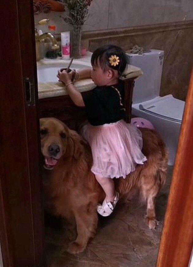 Собака, которая защищает девочку от маминой ругани