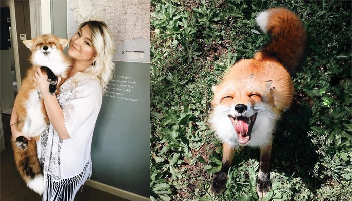 Самые популярные, заряжающие позитивом, животные в Instagram
