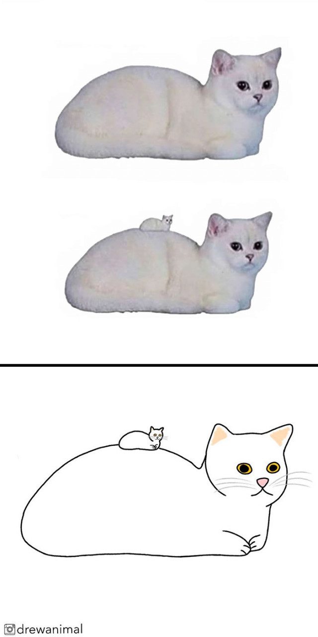 Популярные мемы с кошками в виде забавных минималистичных иллюстраций