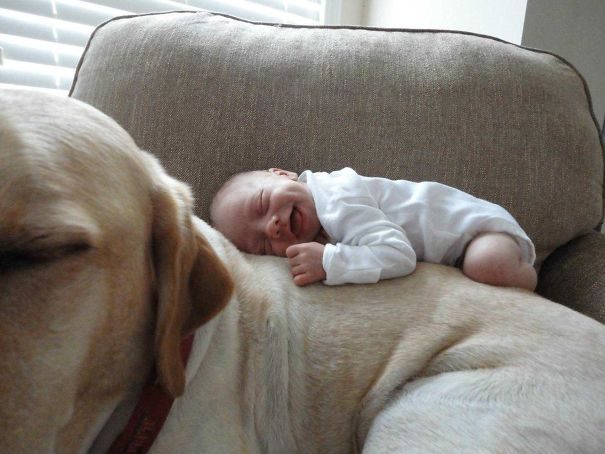 22 фото, доказывающих, что для счастья ребёнку нужна собака