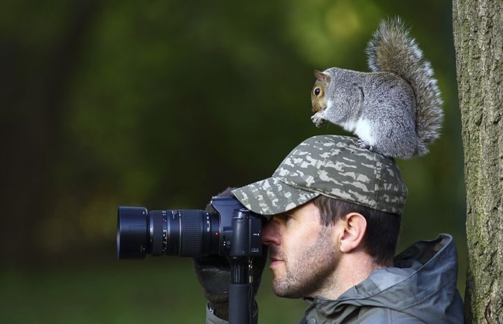 Доказательства того, что фотографы диких животных никогда не скучают на своей работе