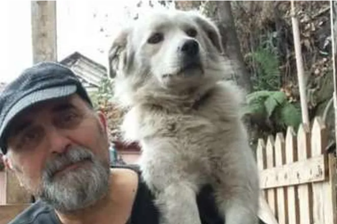 Мужчина случайно нашел давно пропавшую собаку