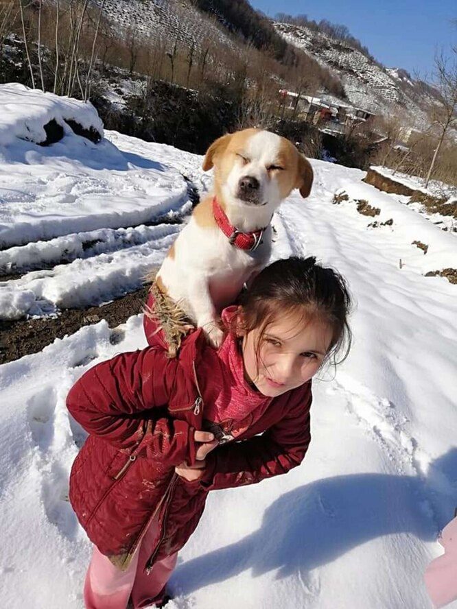 Девочка прошла сквозь снега, чтобы вылечить пса