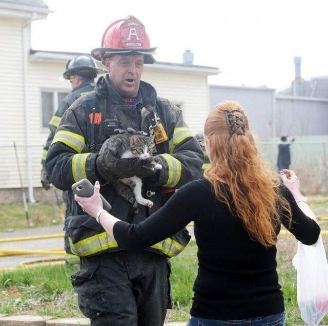 Пожарные и спасенные животинки