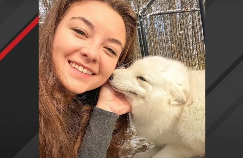 Добрая девушка спасает лис, которые были живыми экспонатами в зоопарках и лабораториях