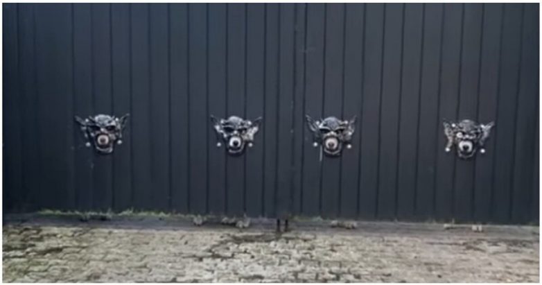 Хозяин сделал забавные маски в воротах, чтобы его собаки могли наблюдать за прохожими
