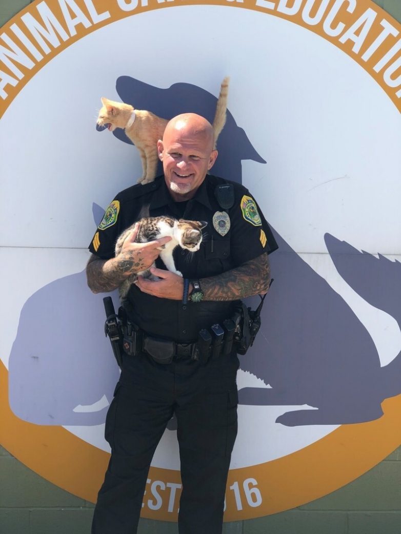 В США полиция придумала добрый способ помогать приютским животным
