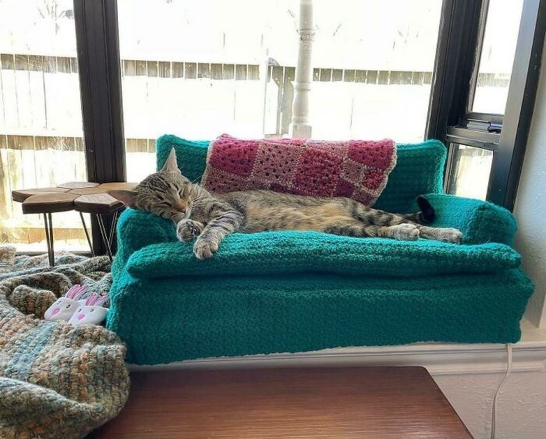 Котейки, которые живут в тепле и уюте — и мы бесконечно за них рады