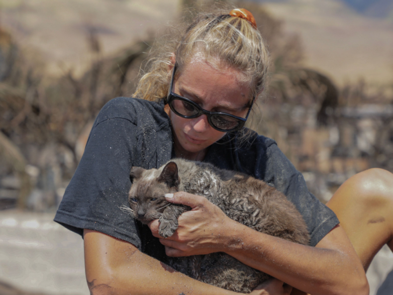 Фотографии спасения животных из пожаров на Гавайях