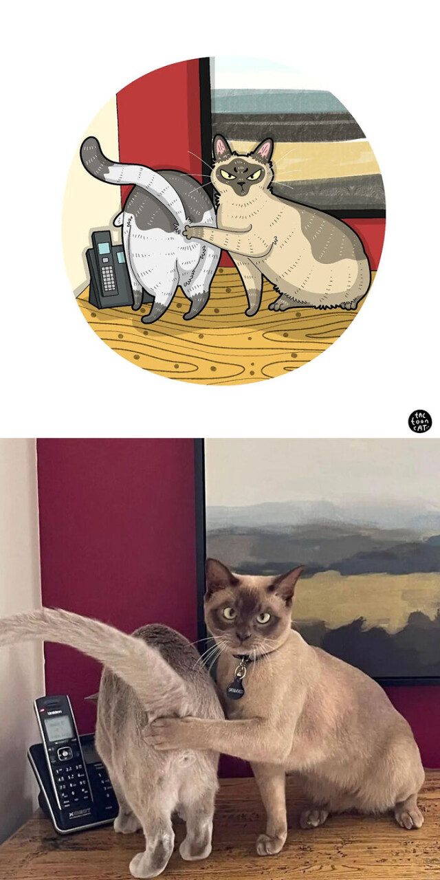 Интересные иллюстрации перерисованные с популярных фотографий с кошками