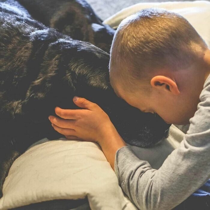Мальчик спас от смерти уже 5 тысяч собак.