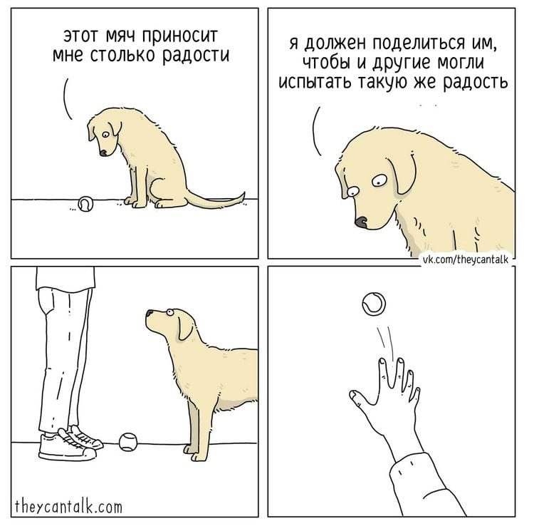 Собаки, которые думают как люди
