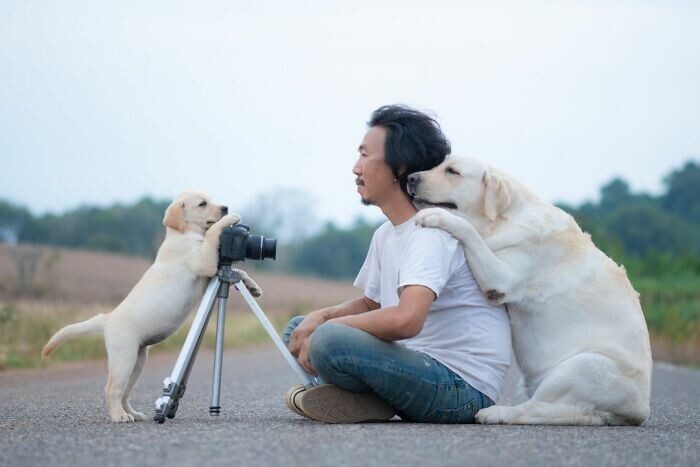 Фотограф и собачки