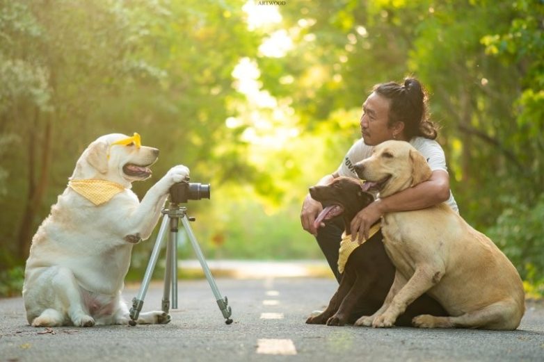 Фотограф и собачки