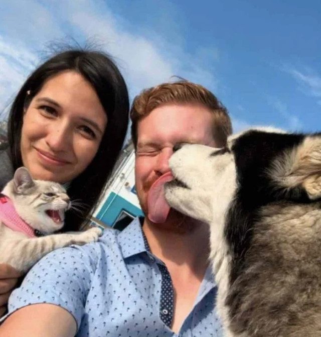 Смешных кошек вам в ленту