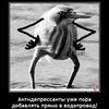 Новые прикольные «Аткрытки» / Приколы